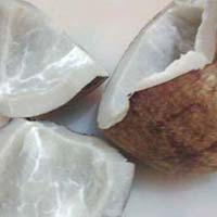 dried coconut
