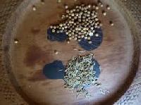 cauliflower seed