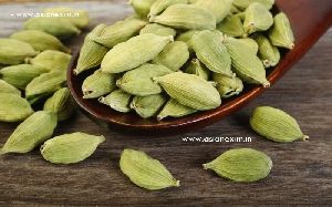 cardamom