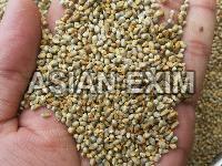 Green Millets