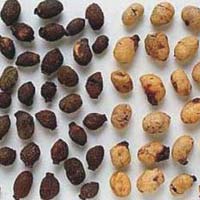 Jamun Seeds