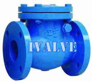 Swing Check Valve Swing Check Valve