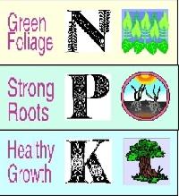 npk fertilizers