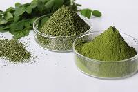 moringa leaf powder