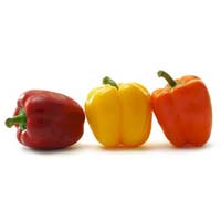 Fresh Capsicum