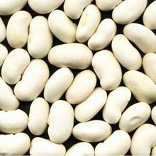 100% Pure Natural White Kidney Bean Extract