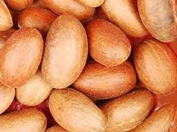 Bitter Kola Nuts