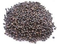 Black Pepper Seeds