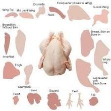 Frozen Halal Whole Chicken