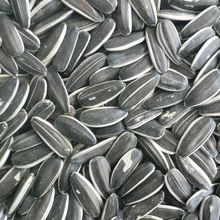 Natural Sunflower Seeds