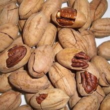 Pecan Nuts