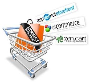 Ecommerce Website Designer