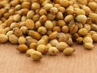 coriander seeds