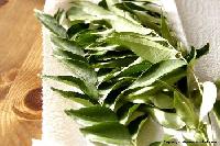 curry leaves