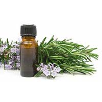 rosemary oil