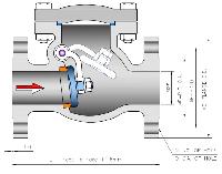 Check Valve