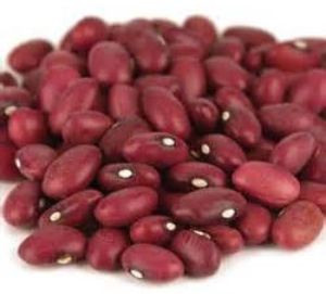 Food Grains & Cereals