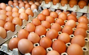 Poultry Eggs