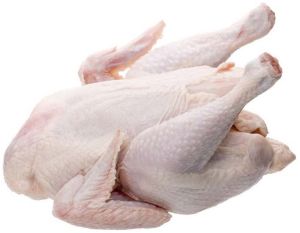 Pet and Farming Animals