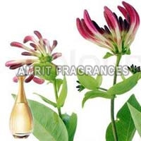 Honeysuckle Attar