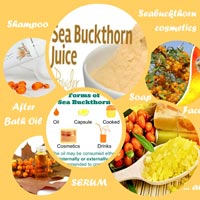Sea Buckthorn Cosmetics