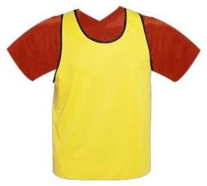 Monaco Training Bibs