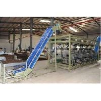 cashew nut processing plant