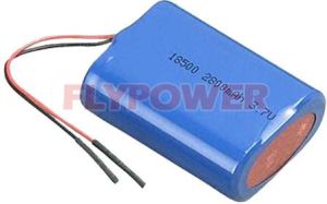 Lithium Ion Battery Pack