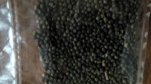 Black Pepper Seeds