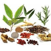 Herbal Formulation Products