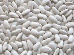 White Alubia Beans