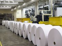 Jumbo Paper Rolls