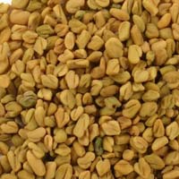 fenugreek seeds