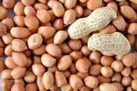 Hps Groundnuts