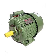2-3 Hp  Electrical Power Motors