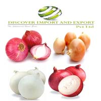 Dehydrated onion export