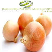 Indian onion export