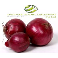 onion supplier company