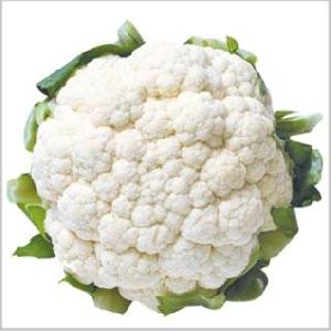 Hybrid Cauliflower