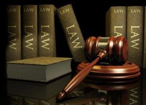 Legal Drafting & Litigation Services