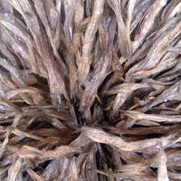 Dried Fish