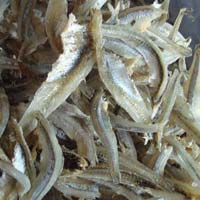 Dried Anchovy Fillet Fish