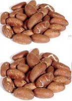 Bitter Cola/Garcinia Kola