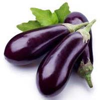 fresh brinjal