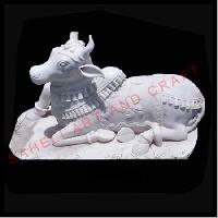 White Marble Nandi Cow