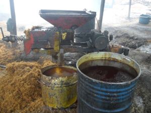 crude palm oil crude palm oil