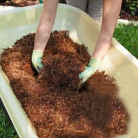 Coconut Mulch