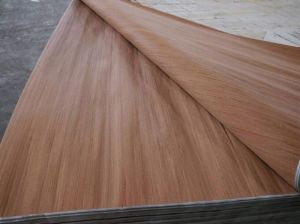 Recon Kurjing Veneer