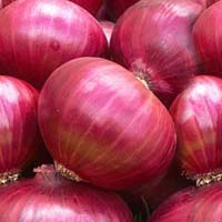 fresh red onion