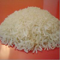 1121 golden rice